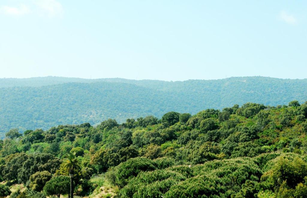 Cap Negre Hotel Le Lavandou Δωμάτιο φωτογραφία